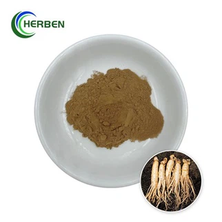 Extrato de Ginseng em Pó
